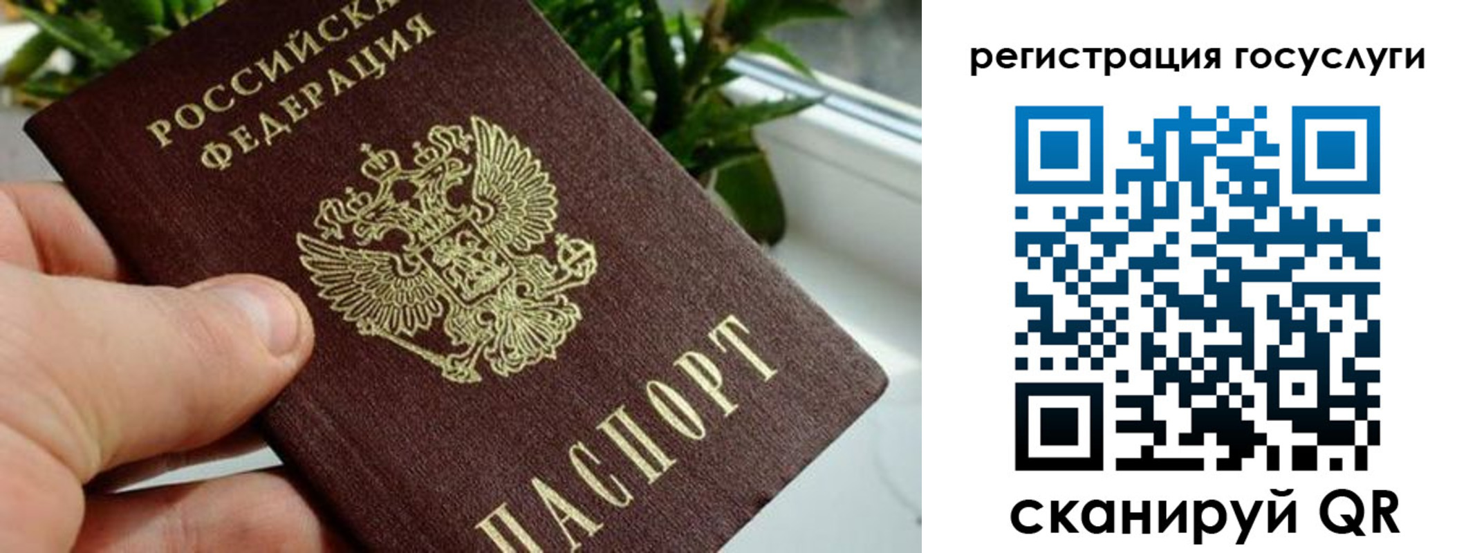 прописка для кредита в Пушкино